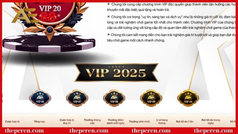 Chính sách VIP AE88 - Ưu đãi hấp dẫn cho thành viên 5 Các cấp bậc trong chính sách VIP AE88