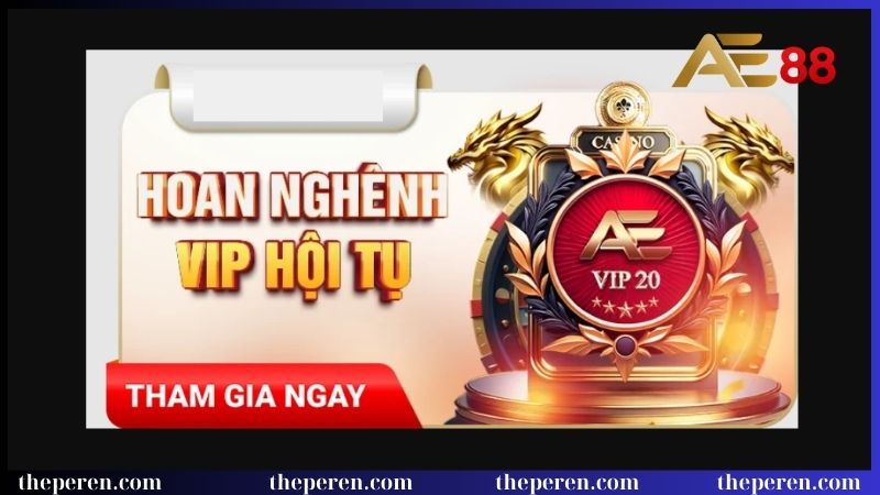 Trang Chủ 15 Cấp bậc VIP và các đặc quyền hot nhất
